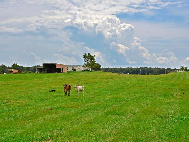 20151 POWERLINE ROAD, DADE CITY, Florida 33523, 3 Bedrooms Bedrooms, 4 Rooms Rooms,2 BathroomsBathrooms,Residential,For sale,POWERLINE,A4102458