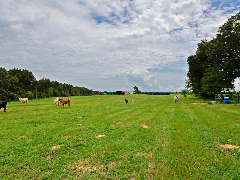 20151 POWERLINE ROAD, DADE CITY, Florida 33523, 3 Bedrooms Bedrooms, 4 Rooms Rooms,2 BathroomsBathrooms,Residential,For sale,POWERLINE,A4102458