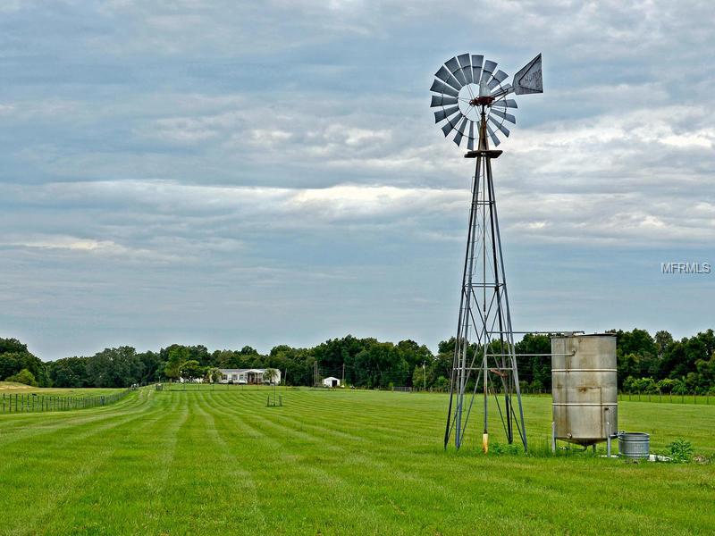 20151 POWERLINE ROAD, DADE CITY, Florida 33523, 3 Bedrooms Bedrooms, 4 Rooms Rooms,2 BathroomsBathrooms,Residential,For sale,POWERLINE,A4102458