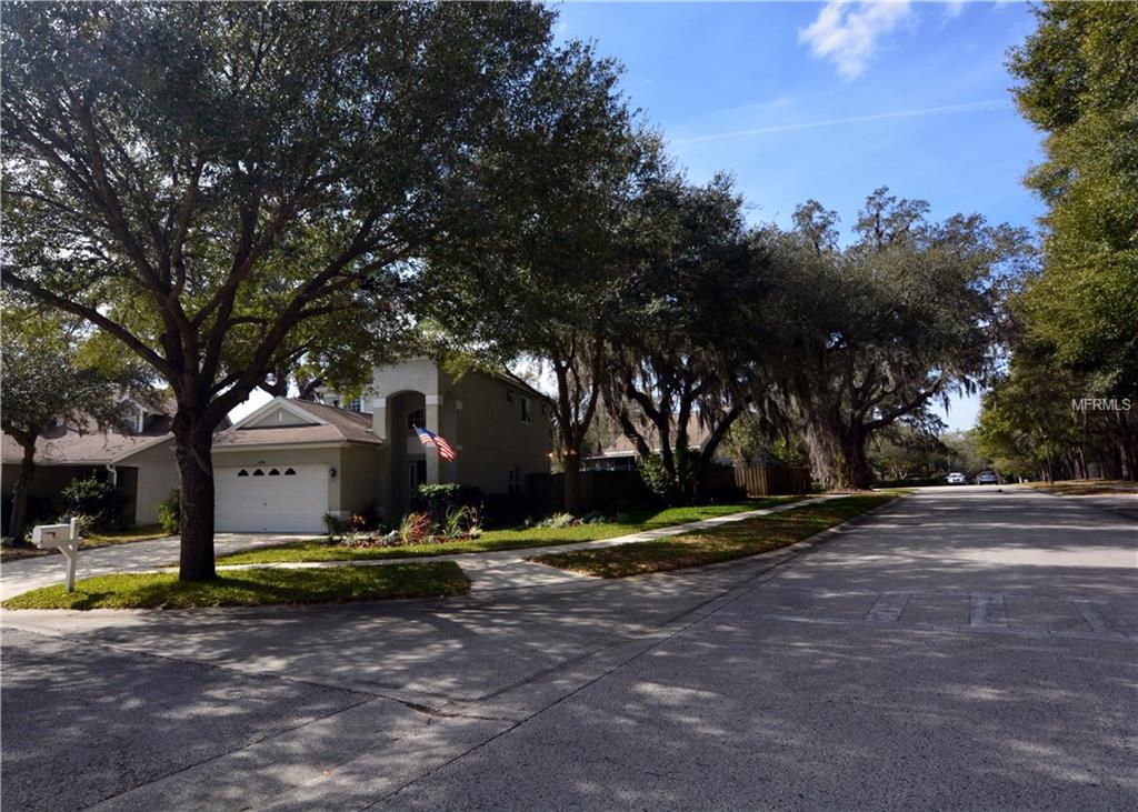 14901 STAG CREEK CIRCLE, LUTZ, Florida 33559, 3 Bedrooms Bedrooms, 8 Rooms Rooms,2 BathroomsBathrooms,Residential,For sale,STAG CREEK,T2925539