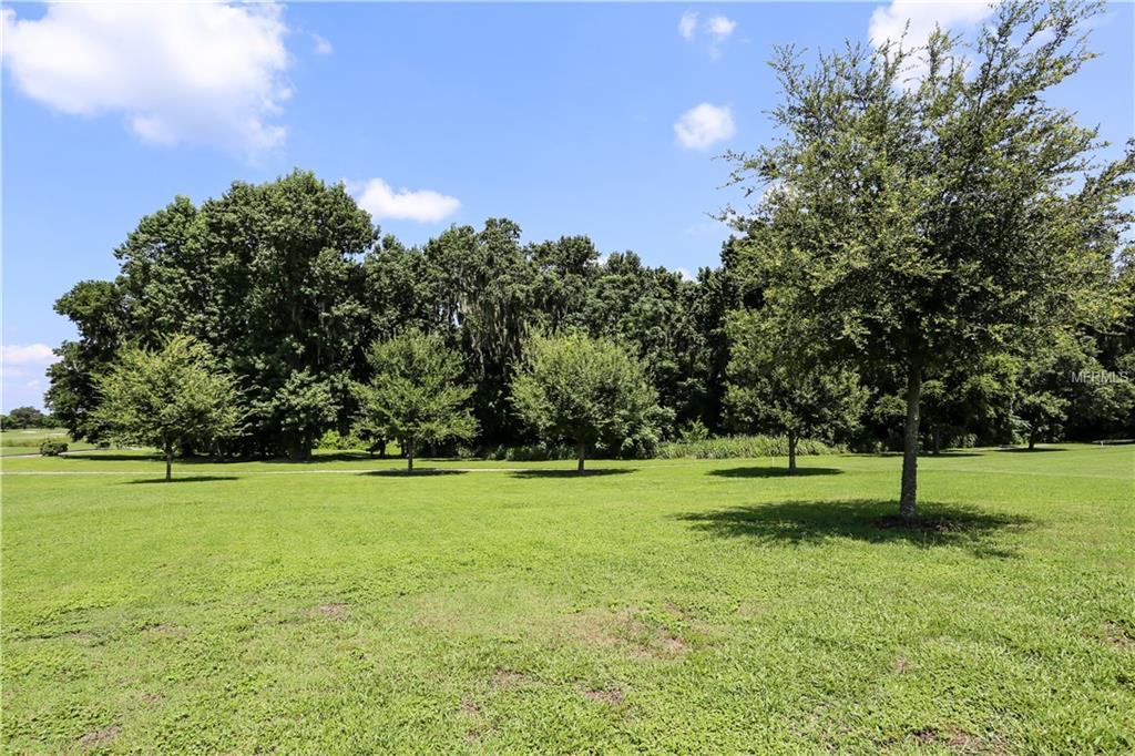 13353 CARNOUSTIE CIRCLE, DADE CITY, Florida 33525, 4 Bedrooms Bedrooms, 14 Rooms Rooms,3 BathroomsBathrooms,Residential,For sale,CARNOUSTIE,T2898317