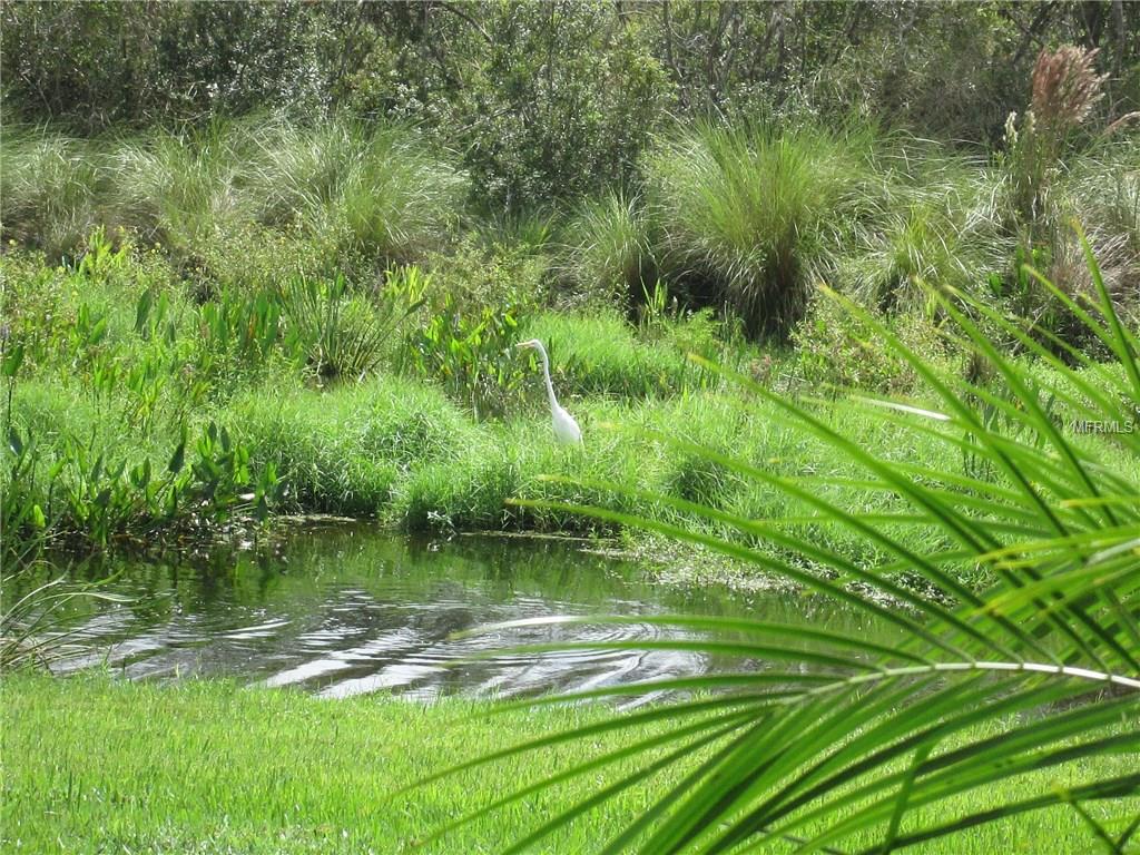 7024 OLD TABBY CIRCLE, LAKEWOOD RANCH, Florida 34202, 3 Bedrooms Bedrooms, 5 Rooms Rooms,2 BathroomsBathrooms,Residential,For sale,OLD TABBY,A4196735