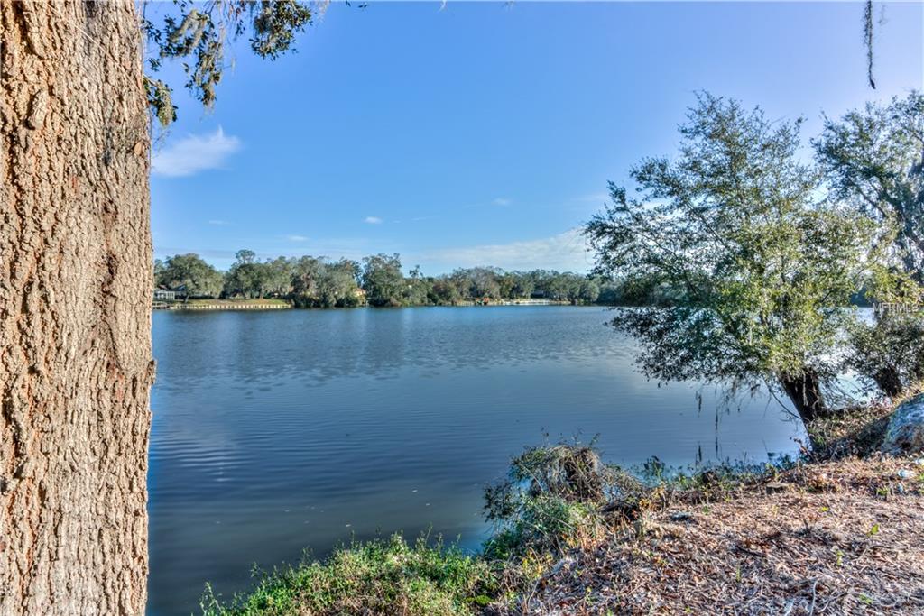 3113 BLACKWATER OAKS WAY, MULBERRY, Florida 33860, 4 Bedrooms Bedrooms, 8 Rooms Rooms,2 BathroomsBathrooms,Residential,For sale,BLACKWATER OAKS,L4725399