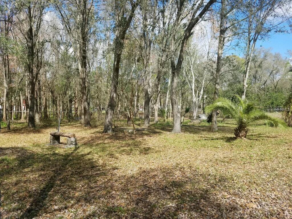 6631 OLD PASCO ROAD, WESLEY CHAPEL, Florida 33544, 4 Bedrooms Bedrooms, 9 Rooms Rooms,2 BathroomsBathrooms,Residential,For sale,OLD PASCO,T2920487