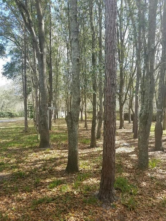 6631 OLD PASCO ROAD, WESLEY CHAPEL, Florida 33544, 4 Bedrooms Bedrooms, 9 Rooms Rooms,2 BathroomsBathrooms,Residential,For sale,OLD PASCO,T2920487