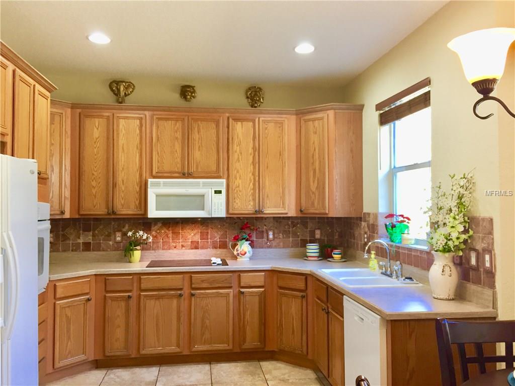 10636 DEERBERRY DRIVE, LAND O LAKES, Florida 34638, 5 Bedrooms Bedrooms, 5 Rooms Rooms,3 BathroomsBathrooms,Residential,For sale,DEERBERRY,T2923870