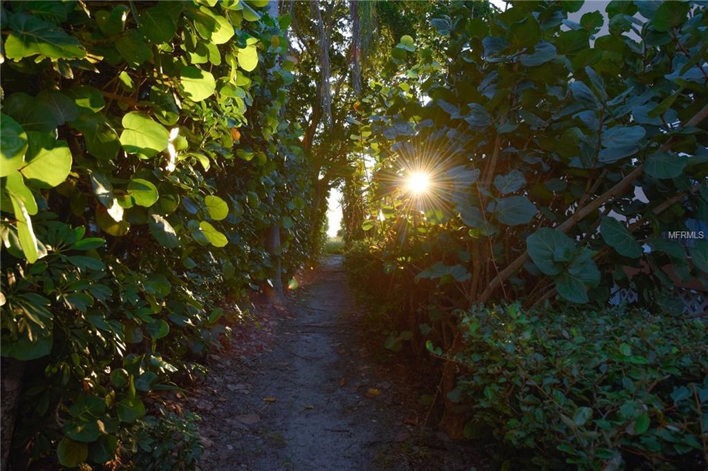 765 JUNGLE QUEEN WAY, LONGBOAT KEY, Florida 34228, 3 Bedrooms Bedrooms, 7 Rooms Rooms,2 BathroomsBathrooms,Residential,For sale,JUNGLE QUEEN,R4707285