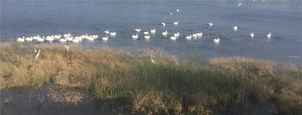 4949 POND RIDGE DRIVE, RIVERVIEW, Florida 33578, 3 Bedrooms Bedrooms, 5 Rooms Rooms,2 BathroomsBathrooms,Residential,For sale,POND RIDGE,U7847383