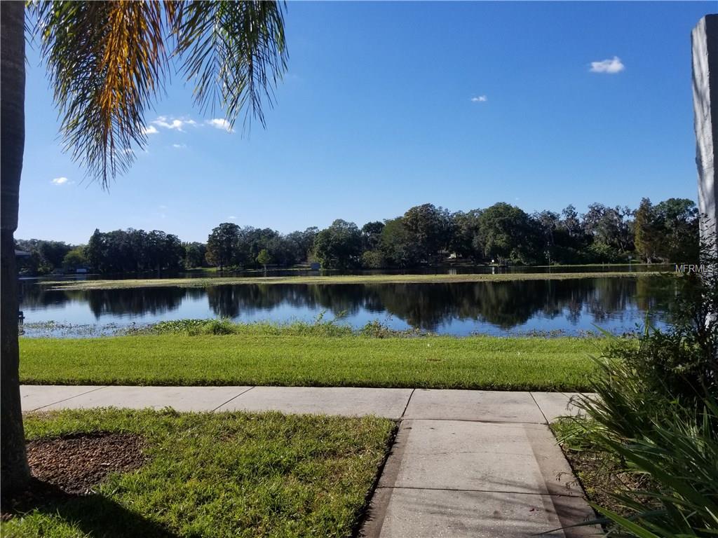 4139 DOLPHIN DRIVE, TAMPA, Florida 33617, 4 Rooms Rooms,1 BathroomBathrooms,Residential,For sale,DOLPHIN,U7847606