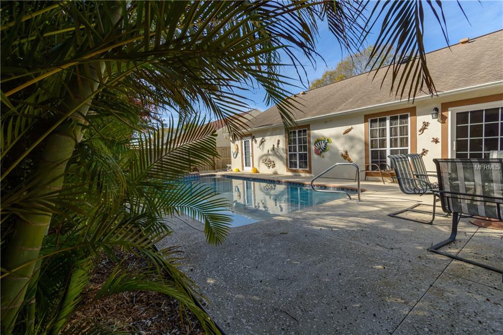 1516 RIVER OAKS DRIVE, TARPON SPRINGS, Florida 34689, 3 Bedrooms Bedrooms, 5 Rooms Rooms,2 BathroomsBathrooms,Residential,For sale,RIVER OAKS,U7846110