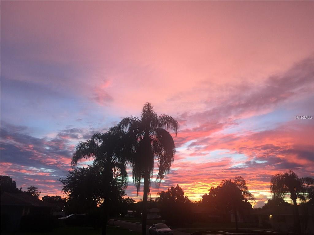 204 ALGIERS DRIVE, VENICE, Florida 34293, 3 Bedrooms Bedrooms, 7 Rooms Rooms,2 BathroomsBathrooms,Residential,For sale,ALGIERS,N5916382