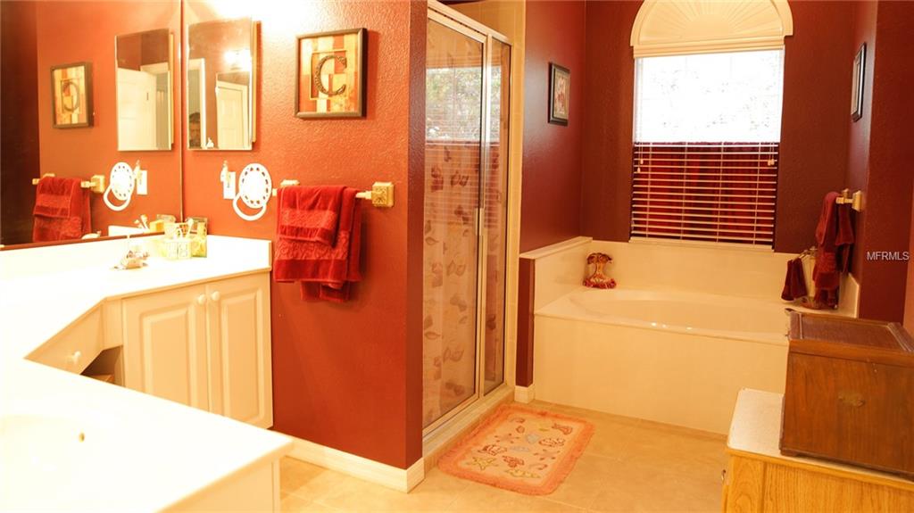 3858 FALLSCREST CIRCLE, CLERMONT, Florida 34711, 3 Bedrooms Bedrooms, 6 Rooms Rooms,2 BathroomsBathrooms,Residential,For sale,FALLSCREST,O5530214