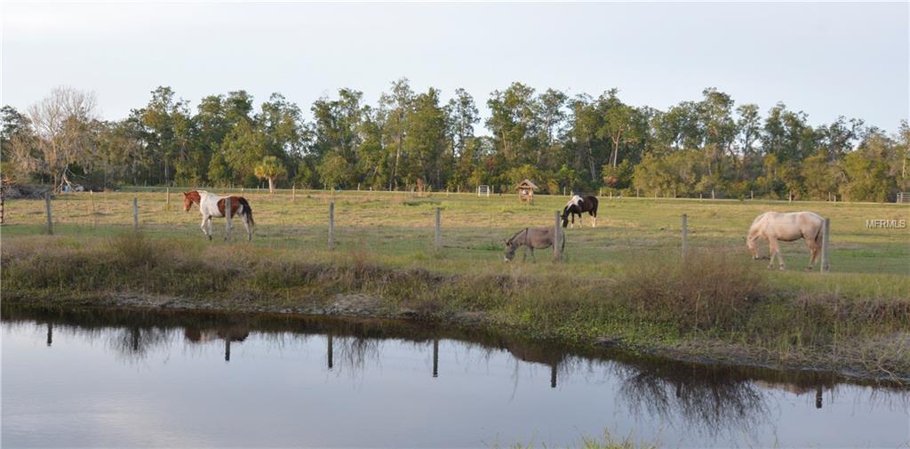 30243 SINGLETARY ROAD, MYAKKA CITY, Florida 34251, 4 Bedrooms Bedrooms, 8 Rooms Rooms,4 BathroomsBathrooms,Residential,For sale,SINGLETARY,A4205405