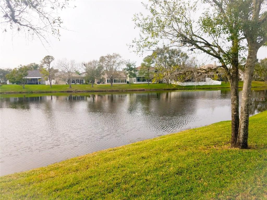 1620 SHADY OAKS DRIVE, OLDSMAR, Florida 34677, 3 Bedrooms Bedrooms, 6 Rooms Rooms,2 BathroomsBathrooms,Residential,For sale,SHADY OAKS,N5916416
