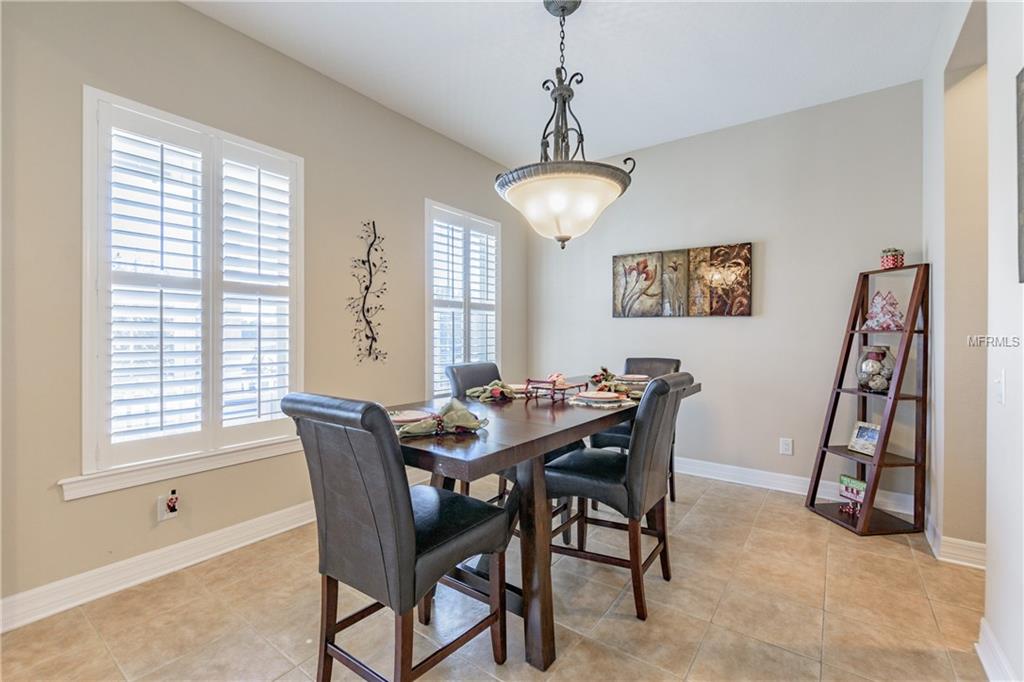 10313 PALLADIO DRIVE, NEW PORT RICHEY, Florida 34655, 5 Bedrooms Bedrooms, 11 Rooms Rooms,3 BathroomsBathrooms,Residential,For sale,PALLADIO,T2920596