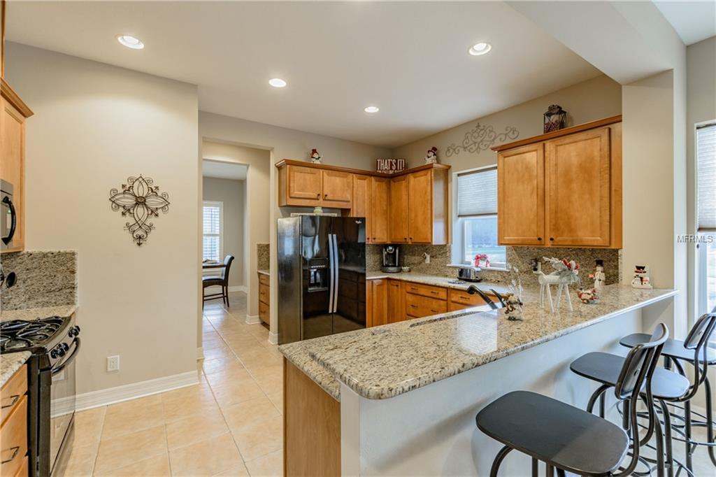 10313 PALLADIO DRIVE, NEW PORT RICHEY, Florida 34655, 5 Bedrooms Bedrooms, 11 Rooms Rooms,3 BathroomsBathrooms,Residential,For sale,PALLADIO,T2920596