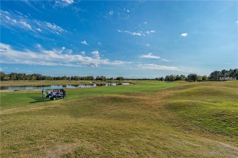 6817 GOLDFLOWER AVENUE, HARMONY, Florida 34773, 3 Bedrooms Bedrooms, 8 Rooms Rooms,2 BathroomsBathrooms,Residential,For sale,GOLDFLOWER,O5530311