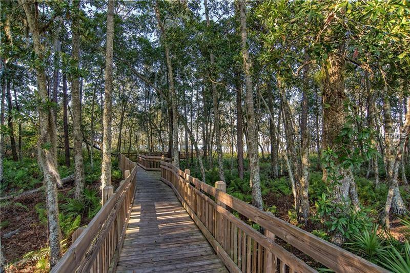 6817 GOLDFLOWER AVENUE, HARMONY, Florida 34773, 3 Bedrooms Bedrooms, 8 Rooms Rooms,2 BathroomsBathrooms,Residential,For sale,GOLDFLOWER,O5530311