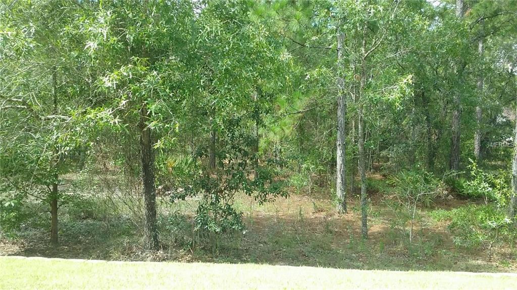 59 CYPRESS BOULEVARD E, HOMOSASSA, Florida 34446, 3 Bedrooms Bedrooms, 9 Rooms Rooms,3 BathroomsBathrooms,Residential,For sale,CYPRESS,G4847427