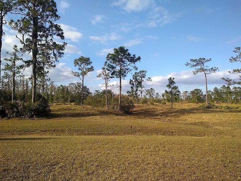 301 EVANDEE COURT, KISSIMMEE, Florida 34758, 3 Bedrooms Bedrooms, 9 Rooms Rooms,2 BathroomsBathrooms,Residential,For sale,EVANDEE,O5560551