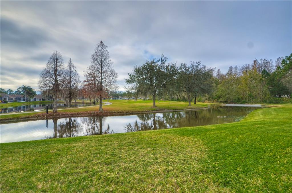 26334 WHIRLAWAY TERRACE, WESLEY CHAPEL, Florida 33544, 3 Bedrooms Bedrooms, 6 Rooms Rooms,2 BathroomsBathrooms,Residential,For sale,WHIRLAWAY,T2920632