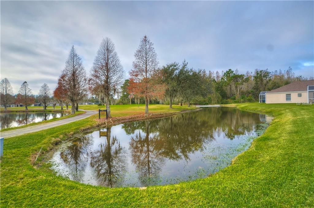 26334 WHIRLAWAY TERRACE, WESLEY CHAPEL, Florida 33544, 3 Bedrooms Bedrooms, 6 Rooms Rooms,2 BathroomsBathrooms,Residential,For sale,WHIRLAWAY,T2920632