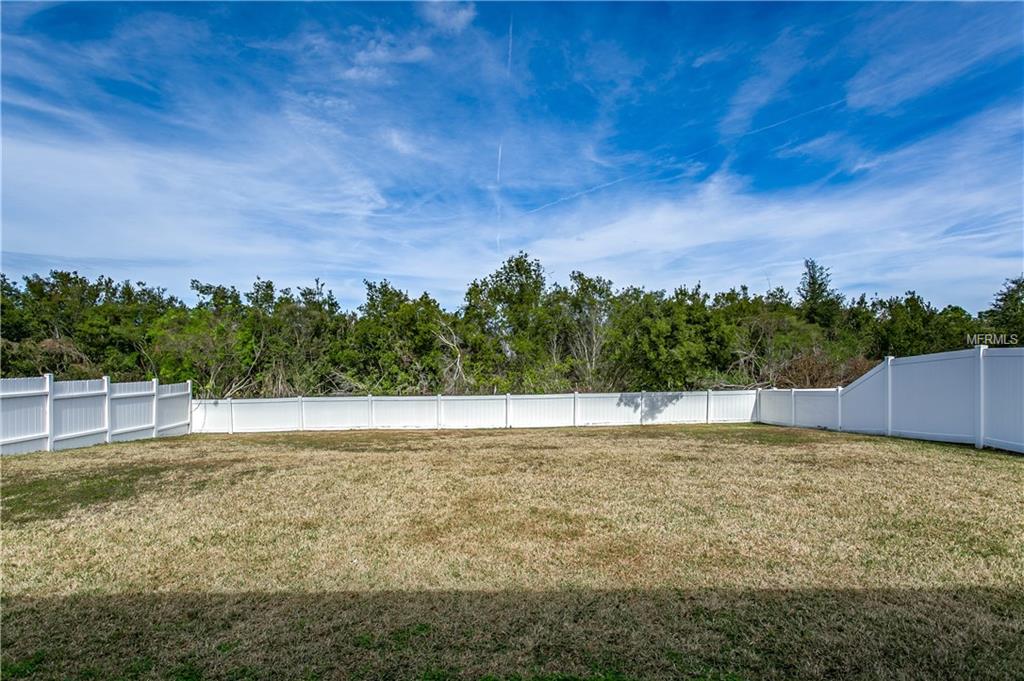 29709 MORNINGMIST DRIVE, WESLEY CHAPEL, Florida 33543, 3 Bedrooms Bedrooms, 7 Rooms Rooms,2 BathroomsBathrooms,Residential,For sale,MORNINGMIST,T2925591