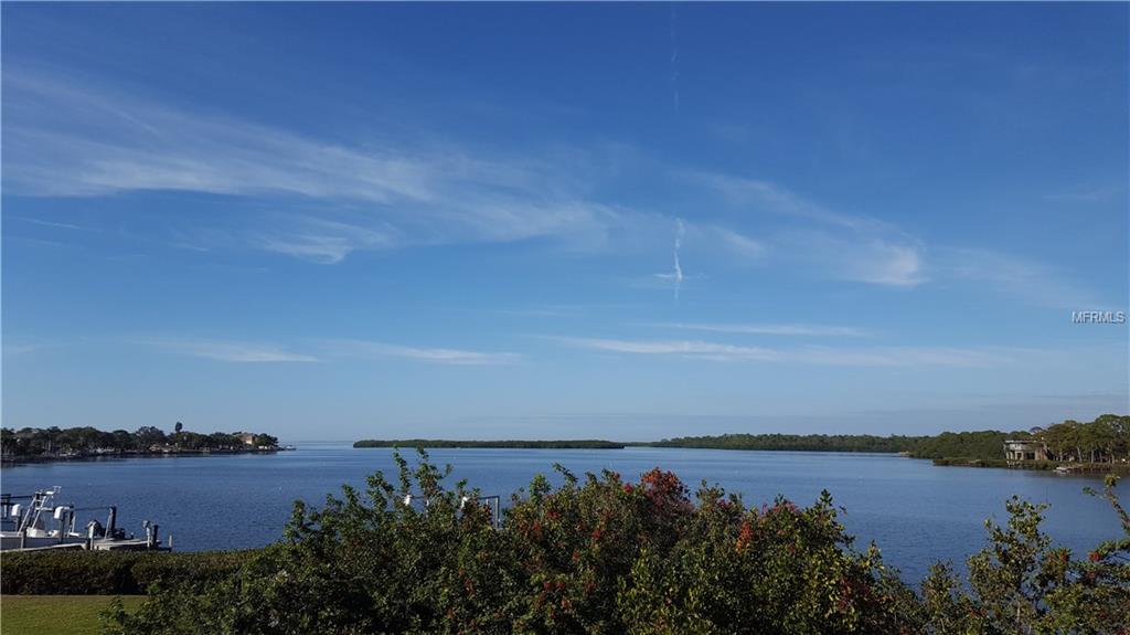 395 OCEANVIEW AVENUE, PALM HARBOR, Florida 34683, 3 Bedrooms Bedrooms, 8 Rooms Rooms,2 BathroomsBathrooms,Residential,For sale,OCEANVIEW,U7846721