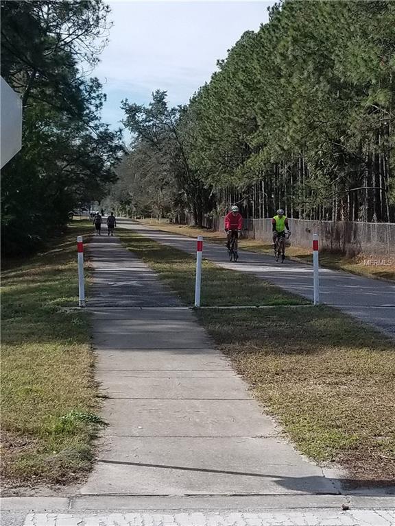 395 OCEANVIEW AVENUE, PALM HARBOR, Florida 34683, 3 Bedrooms Bedrooms, 8 Rooms Rooms,2 BathroomsBathrooms,Residential,For sale,OCEANVIEW,U7846721