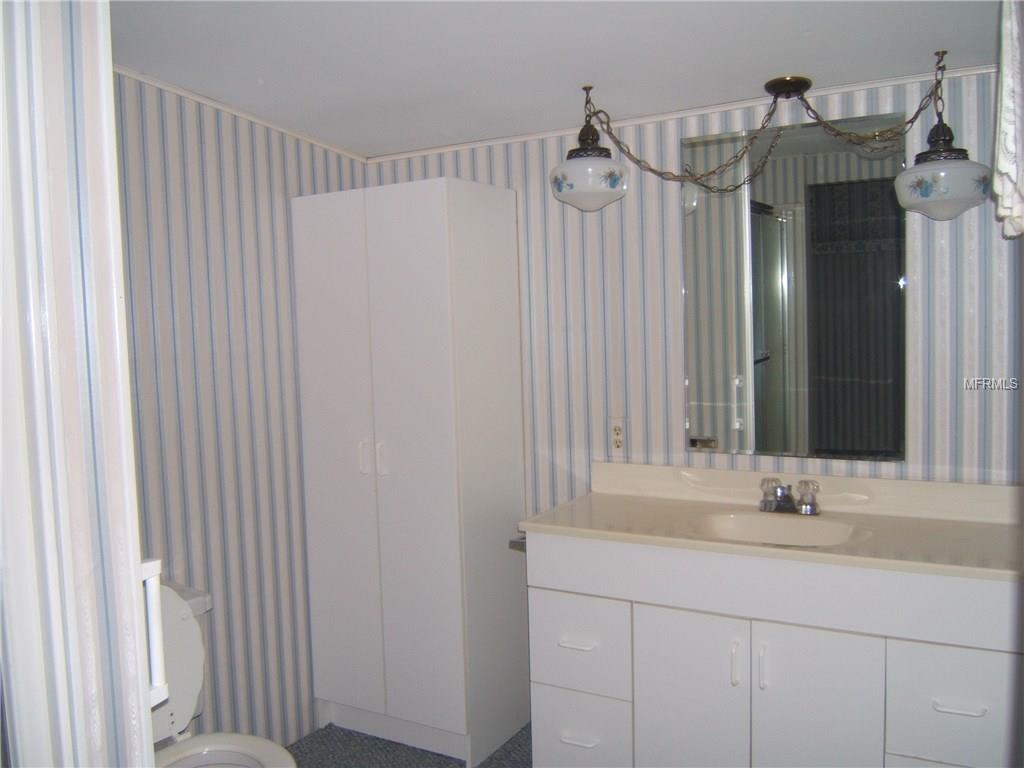 12425 ELOIAN DRIVE, THONOTOSASSA, Florida 33592, 3 Bedrooms Bedrooms, 9 Rooms Rooms,2 BathroomsBathrooms,Residential,For sale,ELOIAN,T2920638