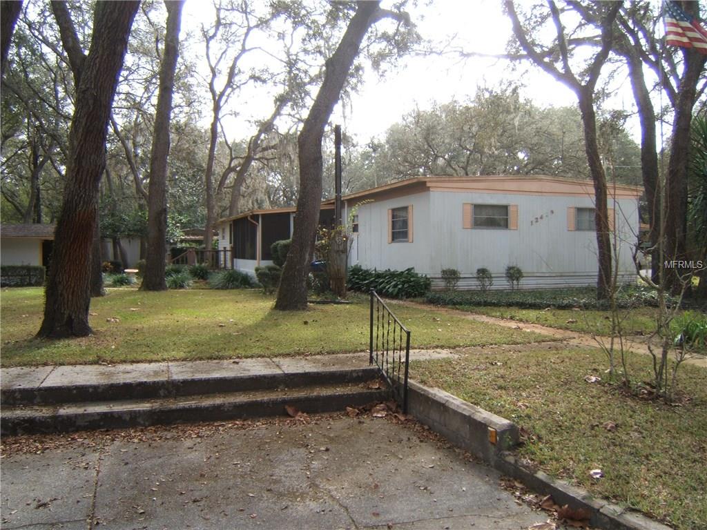 12425 ELOIAN DRIVE, THONOTOSASSA, Florida 33592, 3 Bedrooms Bedrooms, 9 Rooms Rooms,2 BathroomsBathrooms,Residential,For sale,ELOIAN,T2920638