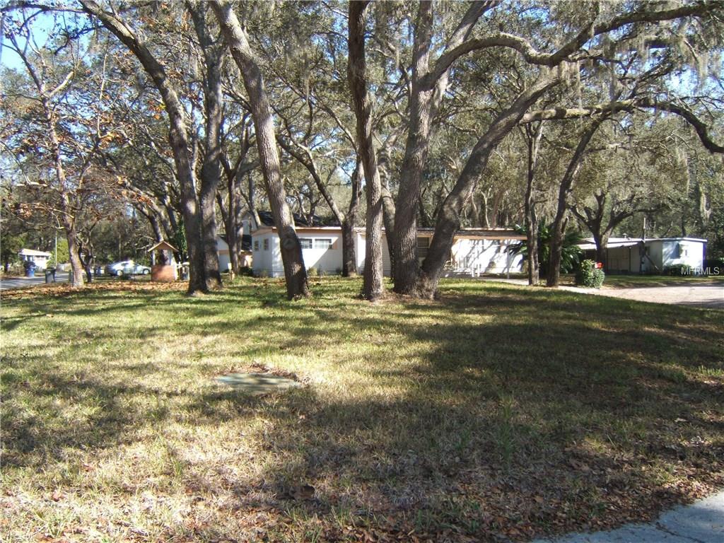 12425 ELOIAN DRIVE, THONOTOSASSA, Florida 33592, 3 Bedrooms Bedrooms, 9 Rooms Rooms,2 BathroomsBathrooms,Residential,For sale,ELOIAN,T2920638
