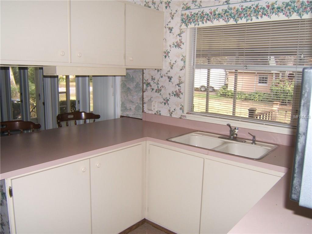 12425 ELOIAN DRIVE, THONOTOSASSA, Florida 33592, 3 Bedrooms Bedrooms, 9 Rooms Rooms,2 BathroomsBathrooms,Residential,For sale,ELOIAN,T2920638