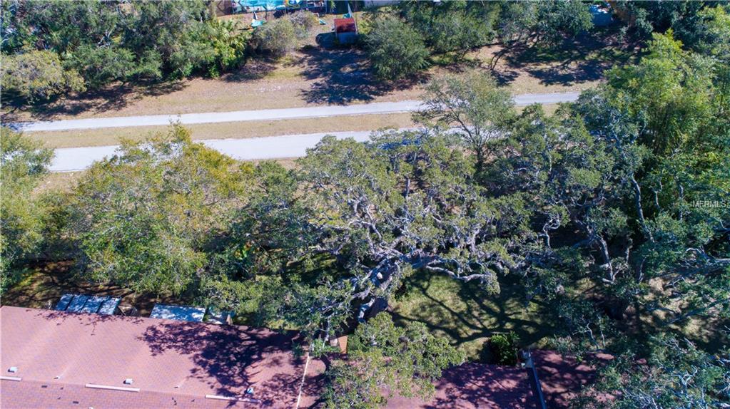 1515 BAYSHORE BOULEVARD, DUNEDIN, Florida 34698, 2 Bedrooms Bedrooms, 3 Rooms Rooms,2 BathroomsBathrooms,Residential,For sale,BAYSHORE,W7636861