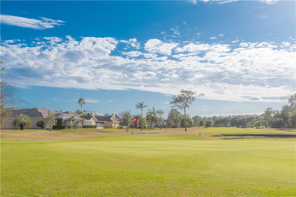 9720 CYPRESS SHADOW AVENUE, TAMPA, Florida 33647, 3 Bedrooms Bedrooms, 5 Rooms Rooms,2 BathroomsBathrooms,Residential,For sale,CYPRESS SHADOW,T2927089