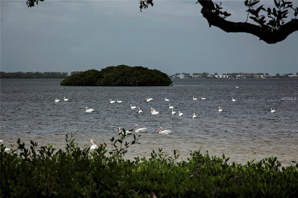 4421 MOUNT VERNON DRIVE, BRADENTON, Florida 34210, 2 Bedrooms Bedrooms, 4 Rooms Rooms,2 BathroomsBathrooms,Residential,For sale,MOUNT VERNON,A4200697