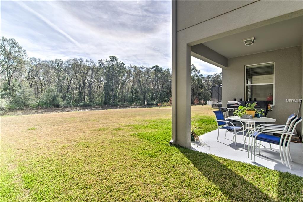 20413 AUTUMN FERN AVENUE, TAMPA, Florida 33647, 5 Bedrooms Bedrooms, 3 Rooms Rooms,2 BathroomsBathrooms,Residential,For sale,AUTUMN FERN,T2928030