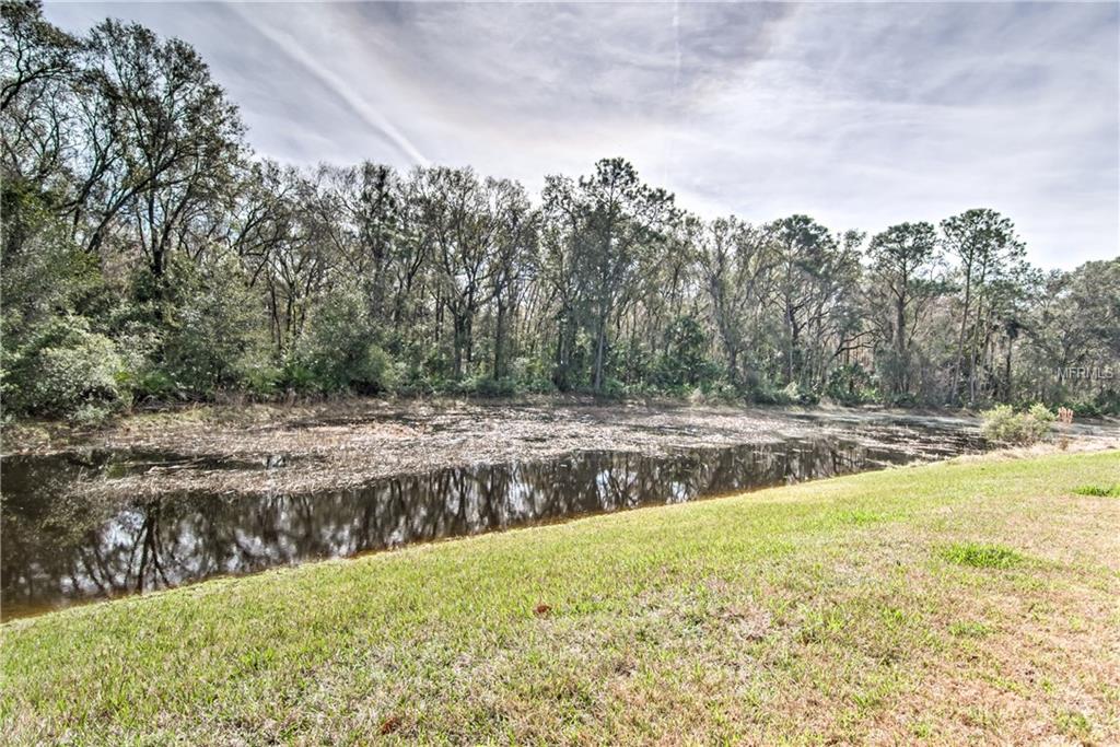 20413 AUTUMN FERN AVENUE, TAMPA, Florida 33647, 5 Bedrooms Bedrooms, 3 Rooms Rooms,2 BathroomsBathrooms,Residential,For sale,AUTUMN FERN,T2928030