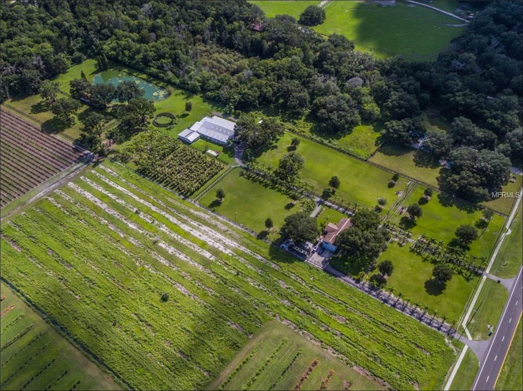 2002 W STATE ROAD 60, PLANT CITY, Florida 33567, 4 Bedrooms Bedrooms, 10 Rooms Rooms,3 BathroomsBathrooms,Residential,For sale,STATE ROAD 60,T2899084