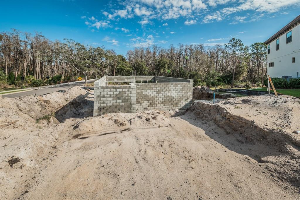 1594 LAVELLO LANE, PALM HARBOR, Florida 34683, 3 Bedrooms Bedrooms, 3 Rooms Rooms,2 BathroomsBathrooms,Residential,For sale,LAVELLO,U7847532