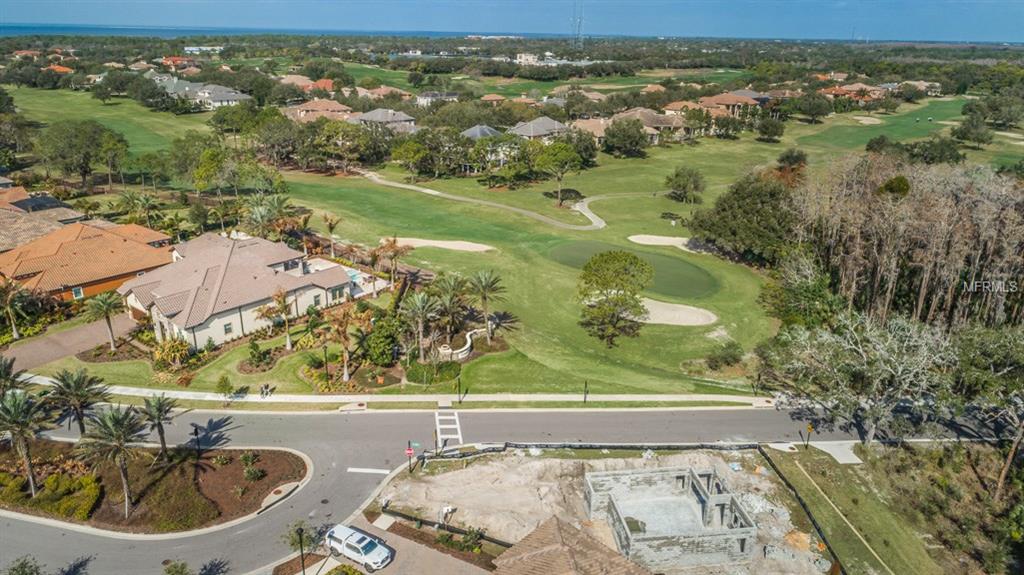 1594 LAVELLO LANE, PALM HARBOR, Florida 34683, 3 Bedrooms Bedrooms, 3 Rooms Rooms,2 BathroomsBathrooms,Residential,For sale,LAVELLO,U7847532