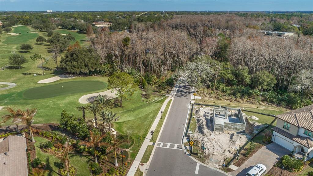 1594 LAVELLO LANE, PALM HARBOR, Florida 34683, 3 Bedrooms Bedrooms, 3 Rooms Rooms,2 BathroomsBathrooms,Residential,For sale,LAVELLO,U7847532