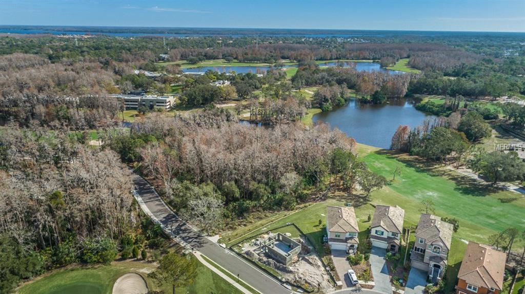 1594 LAVELLO LANE, PALM HARBOR, Florida 34683, 3 Bedrooms Bedrooms, 3 Rooms Rooms,2 BathroomsBathrooms,Residential,For sale,LAVELLO,U7847532