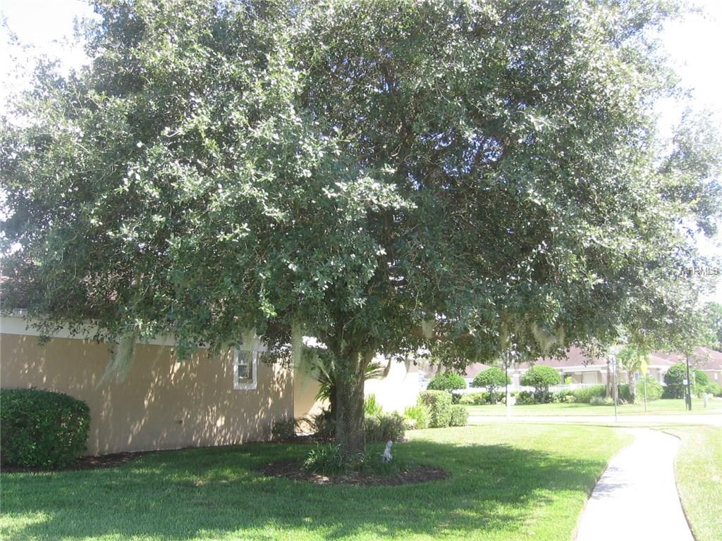 5620 GALLANT FOX COURT, WESLEY CHAPEL, Florida 33544, 2 Bedrooms Bedrooms, 5 Rooms Rooms,2 BathroomsBathrooms,Residential,For sale,GALLANT FOX,T2899090