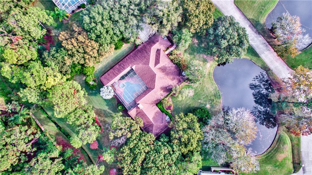 186 RUE DES CHATEAUX, TARPON SPRINGS, Florida 34688, 4 Bedrooms Bedrooms, 3 Rooms Rooms,4 BathroomsBathrooms,Residential,For sale,RUE DES CHATEAUX,U7839255