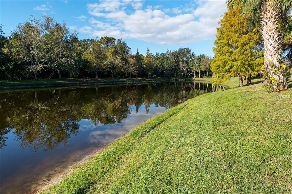 12111 CREOLE COURT, PARRISH, Florida 34219, 3 Bedrooms Bedrooms, 10 Rooms Rooms,3 BathroomsBathrooms,Residential,For sale,CREOLE,A4204535