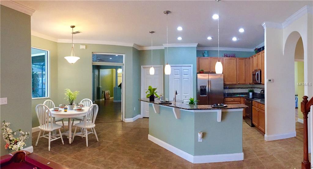 3415 CHESSINGTON DRIVE, LAND O LAKES, Florida 34638, 5 Bedrooms Bedrooms, 8 Rooms Rooms,4 BathroomsBathrooms,Residential,For sale,CHESSINGTON,T2927096