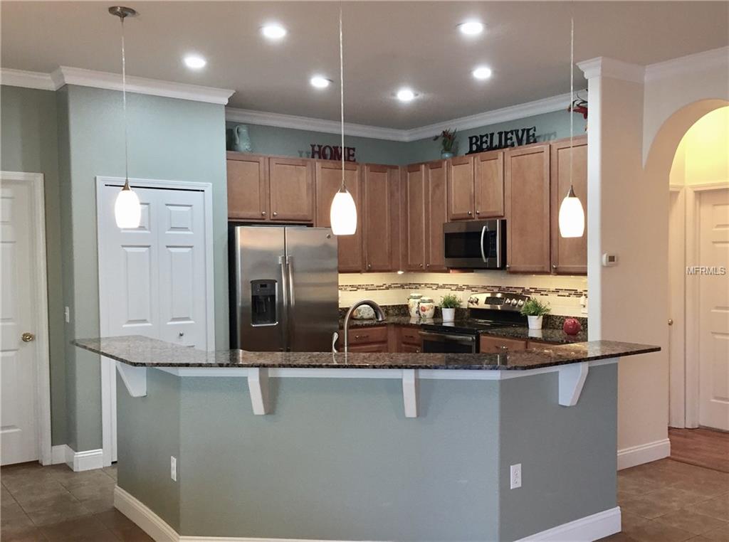 3415 CHESSINGTON DRIVE, LAND O LAKES, Florida 34638, 5 Bedrooms Bedrooms, 8 Rooms Rooms,4 BathroomsBathrooms,Residential,For sale,CHESSINGTON,T2927096