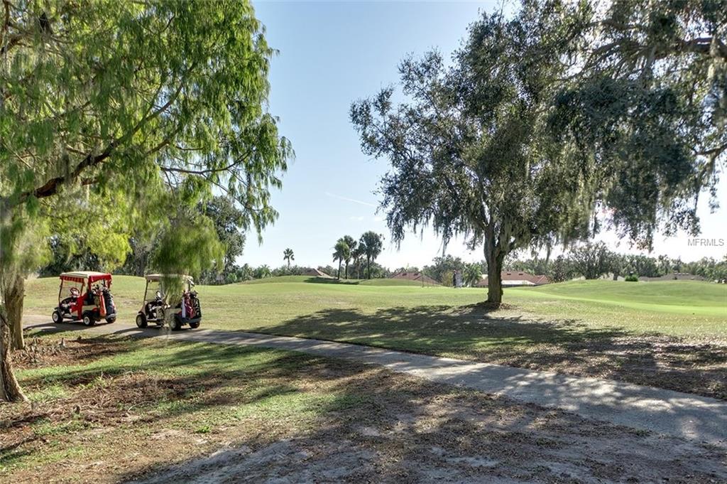 2941 WILDERNESS BOULEVARD E, PARRISH, Florida 34219, 3 Bedrooms Bedrooms, 10 Rooms Rooms,3 BathroomsBathrooms,Residential,For sale,WILDERNESS,A4210105