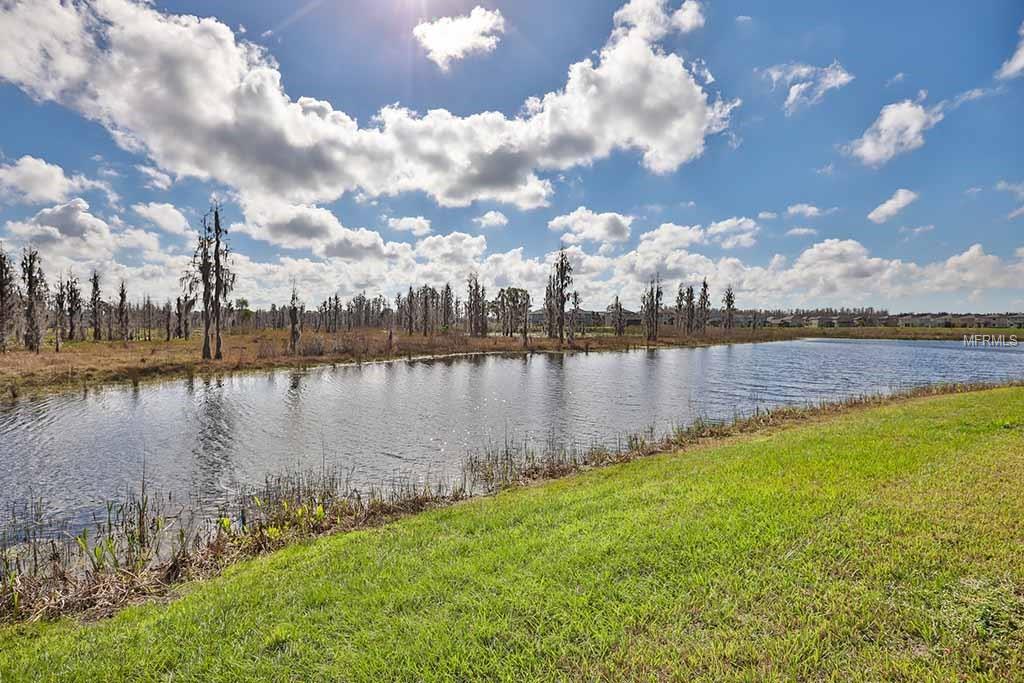 1928 FOX GRAPE LOOP, LUTZ, Florida 33558, 4 Bedrooms Bedrooms, 8 Rooms Rooms,3 BathroomsBathrooms,Residential,For sale,FOX GRAPE,T2928333